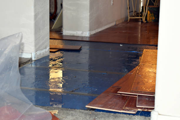 Professional Emergency Water Damage Restoration technician working in Underwood, WA